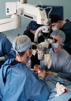 Drs Mashkevich and Syniuk performing surgery