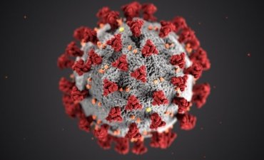 ivermectin covid-19 news коронавірус боротьба ліки