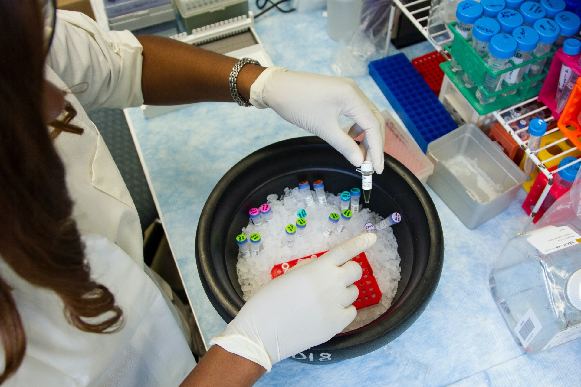 "Laboratory Researcher. National Cancer Institute researcher Chanelle Case Borden, Ph.D., setting up genetic samples and primers for polymerase chain reaction, or PCR, a laboratory technique used to make multiple copies of a segment of DNA. Photographer Daniel Sone"